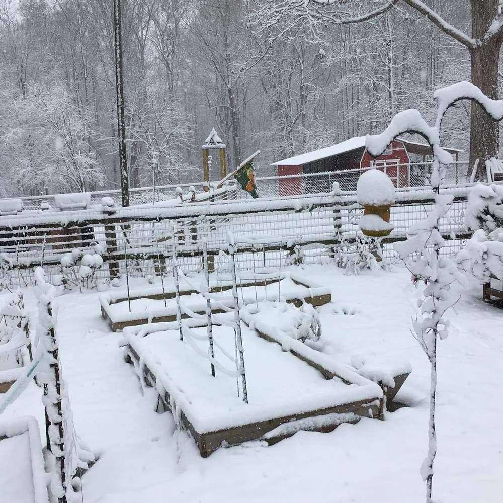 HAPPY SNOW DAY!